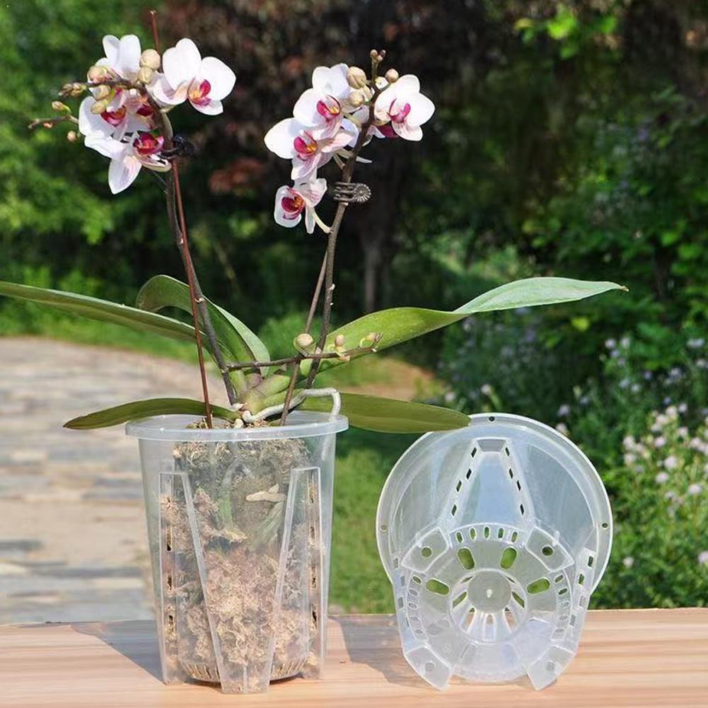 Plant Parent - Vaso per Fiori Trasparente in Plastica