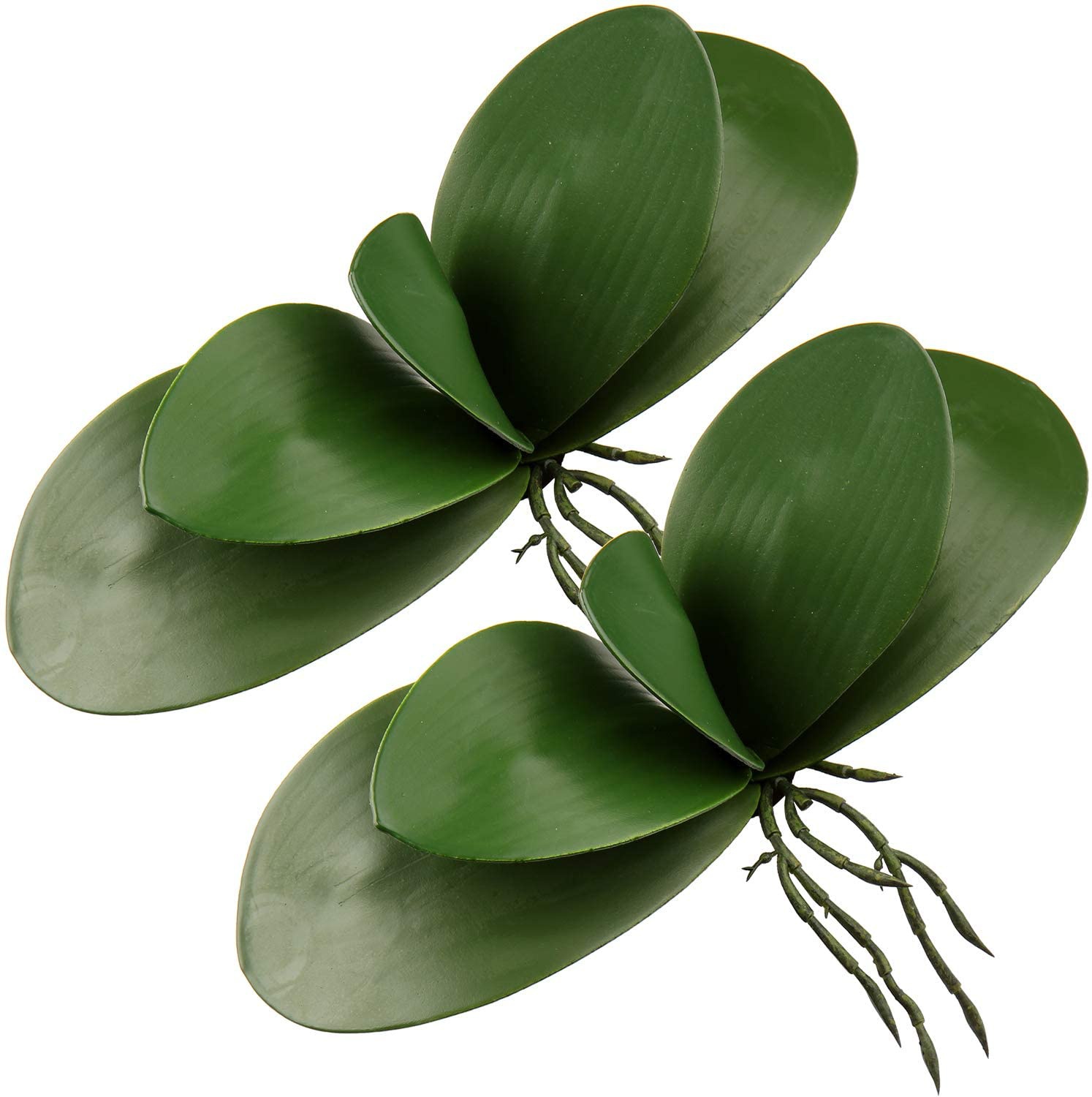 Orchid Phalaenopsis - Phalaenopsis artificiale lascia Real Latex Touch