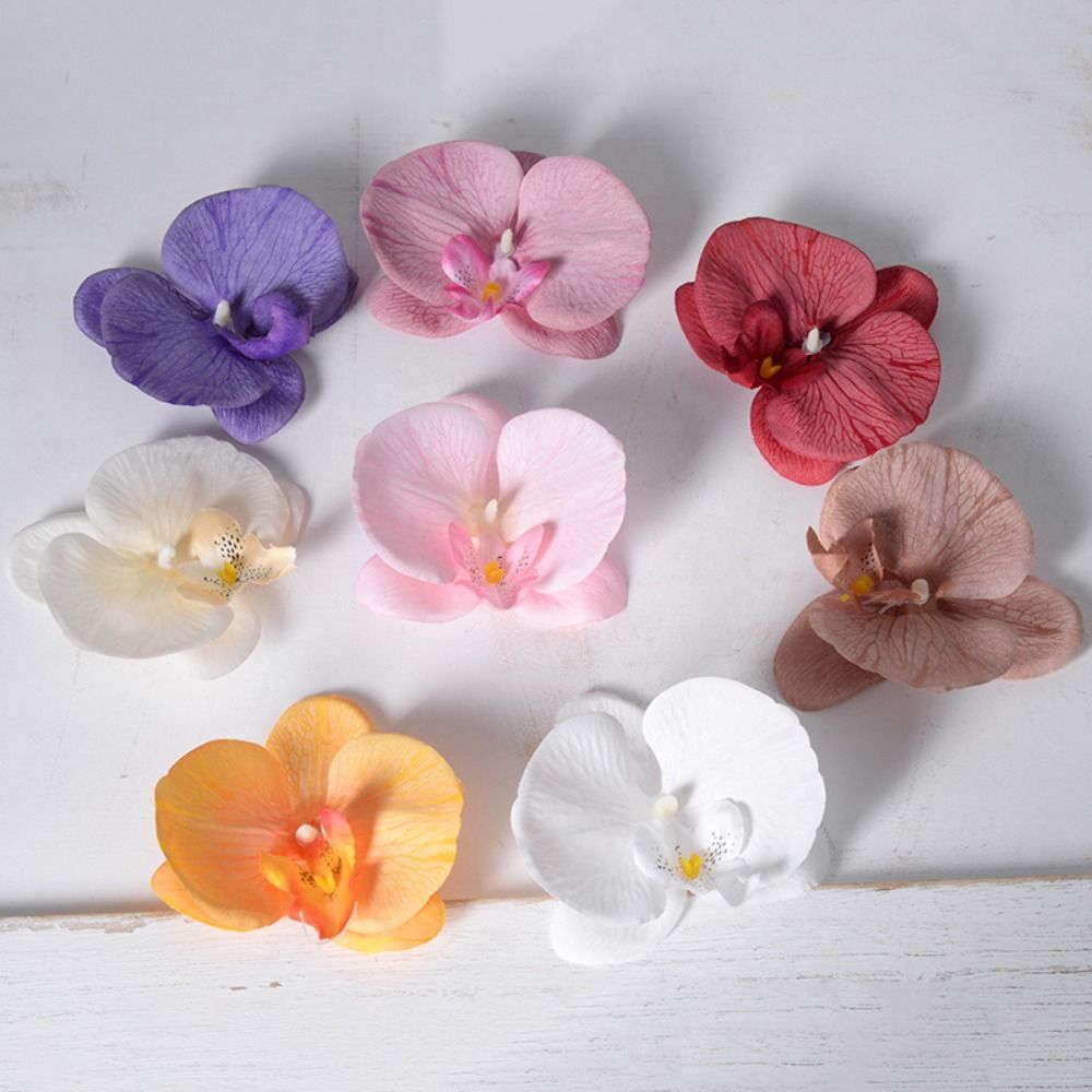 Orchid Phalaenopsis - Testa di Fiore di Phalaenopsis Fai-da-Te,