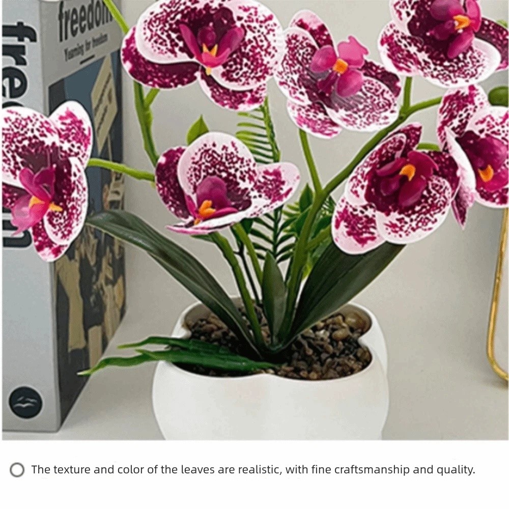 Orchid Phalaenopsis - Orchidea a Farfalla Simulata Multi-Fiore, Fiori