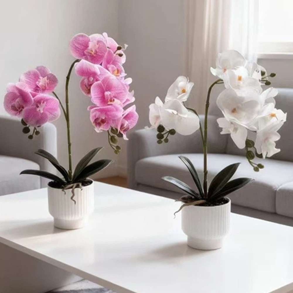 Orchidea a Farfalla Simulata M - Orchid Phalaenopsis recensione e prezzo
