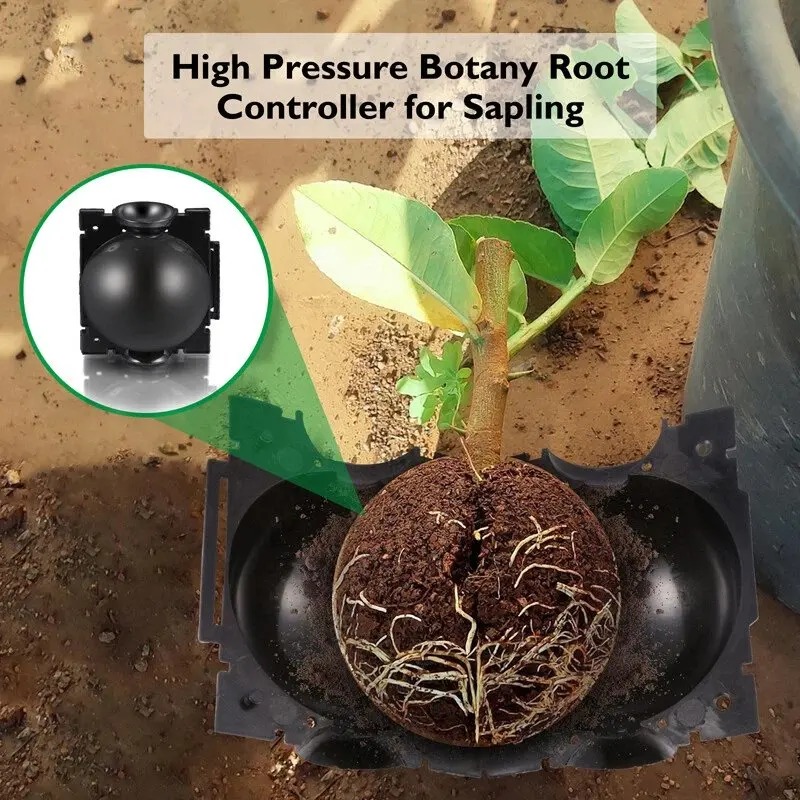 5/30 Pezzi Scatole per la Prop - Plant Parent recensione e prezzo