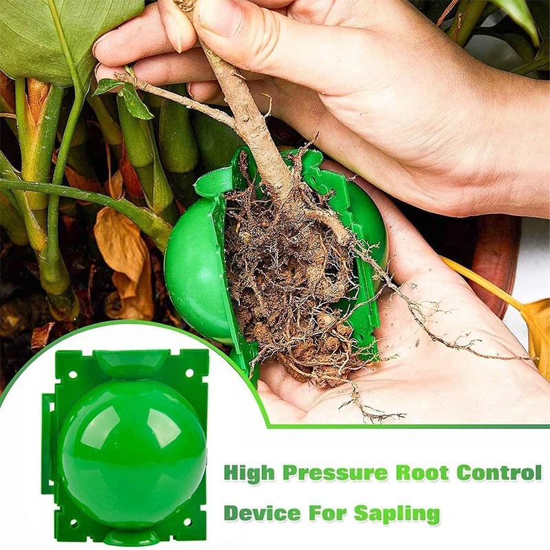 5/30 Pezzi Scatole per la Prop - Plant Parent recensione e prezzo