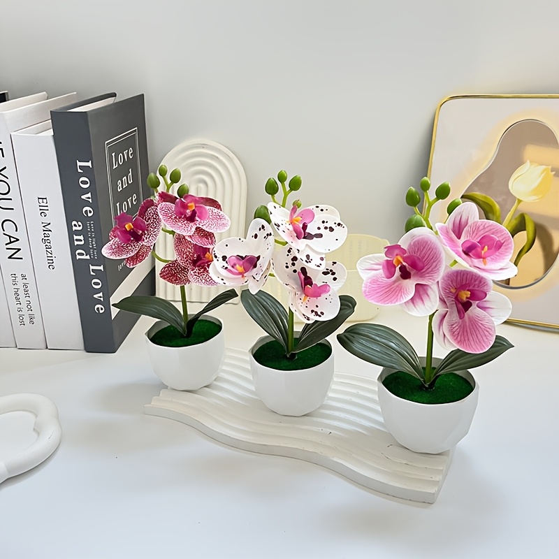 Set di 3 Orchidee Phalaenopsis - Orchid Phalaenopsis recensione e prezzo