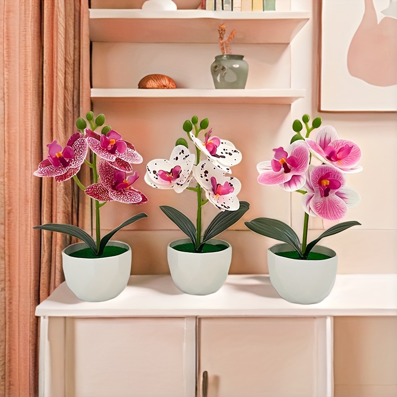 Set di 3 Orchidee Phalaenopsis - Orchid Phalaenopsis recensione e prezzo
