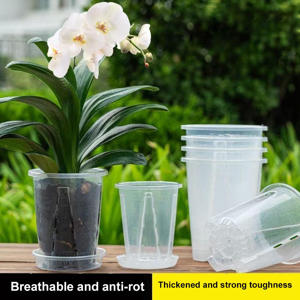 Vaso per Fiori Trasparente in  - Plant Parent recensione e prezzo