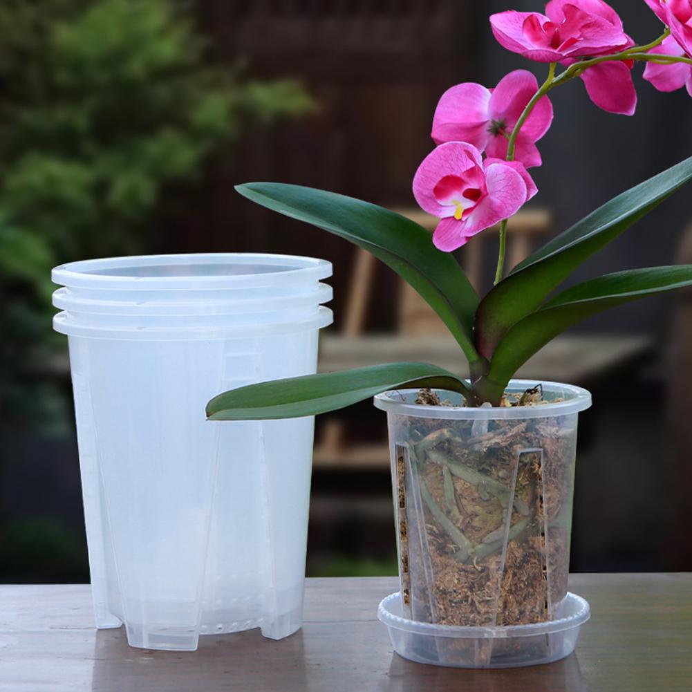 Vaso per Fiori Trasparente in  - Plant Parent recensione e prezzo