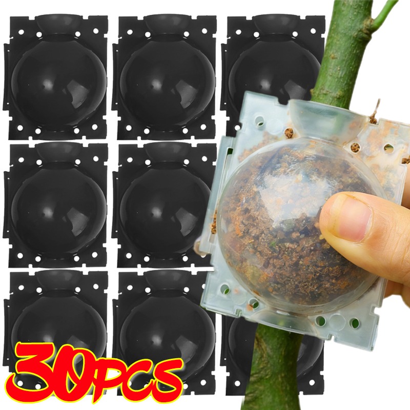 Strumenti per innesto a sfera  - Plant Parent recensione e prezzo