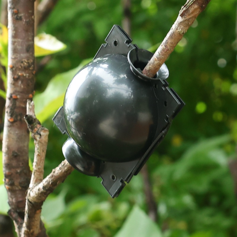 Strumenti per innesto a sfera  - Plant Parent recensione e prezzo
