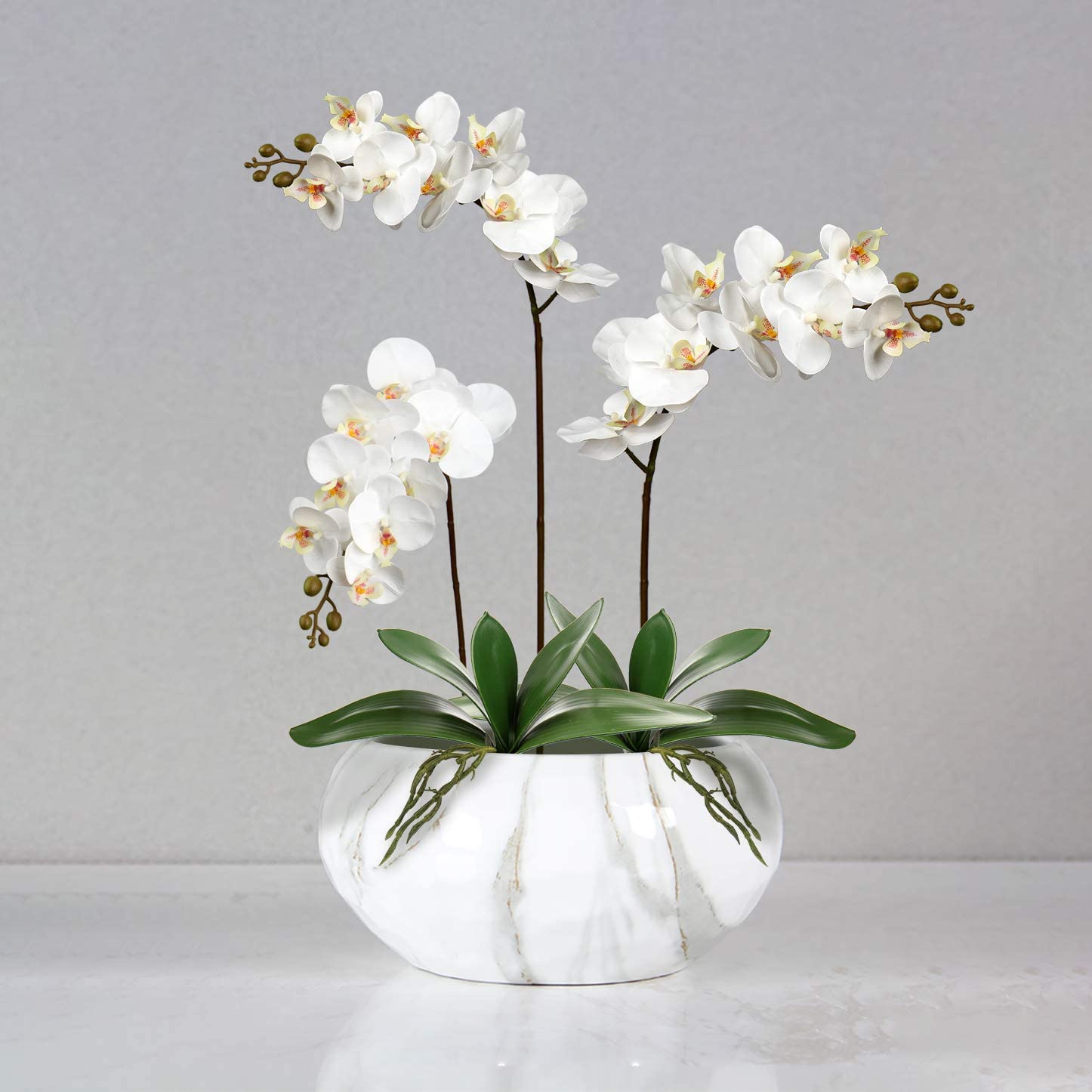 Phalaenopsis artificiale lasci - Orchid Phalaenopsis recensione e prezzo