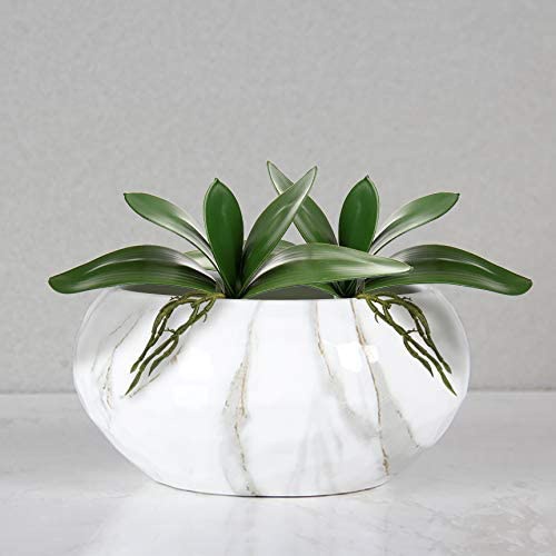 Phalaenopsis artificiale lasci - Orchid Phalaenopsis recensione e prezzo