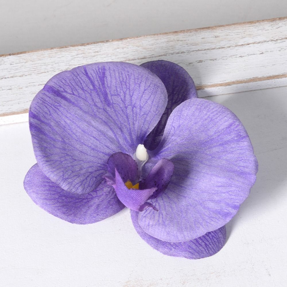 Testa di Fiore di Phalaenopsis - Orchid Phalaenopsis recensione e prezzo