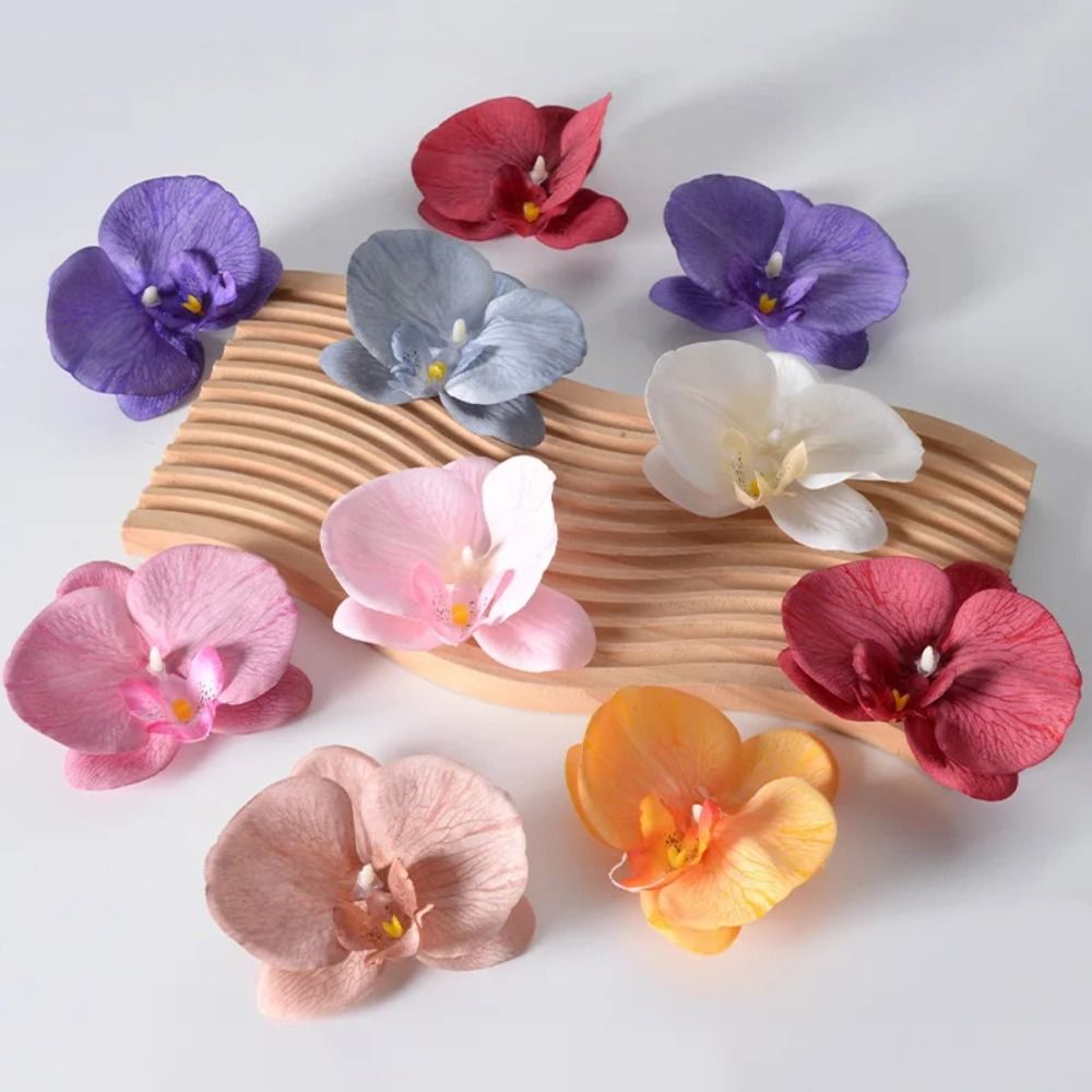 Testa di Fiore di Phalaenopsis - Orchid Phalaenopsis recensione e prezzo
