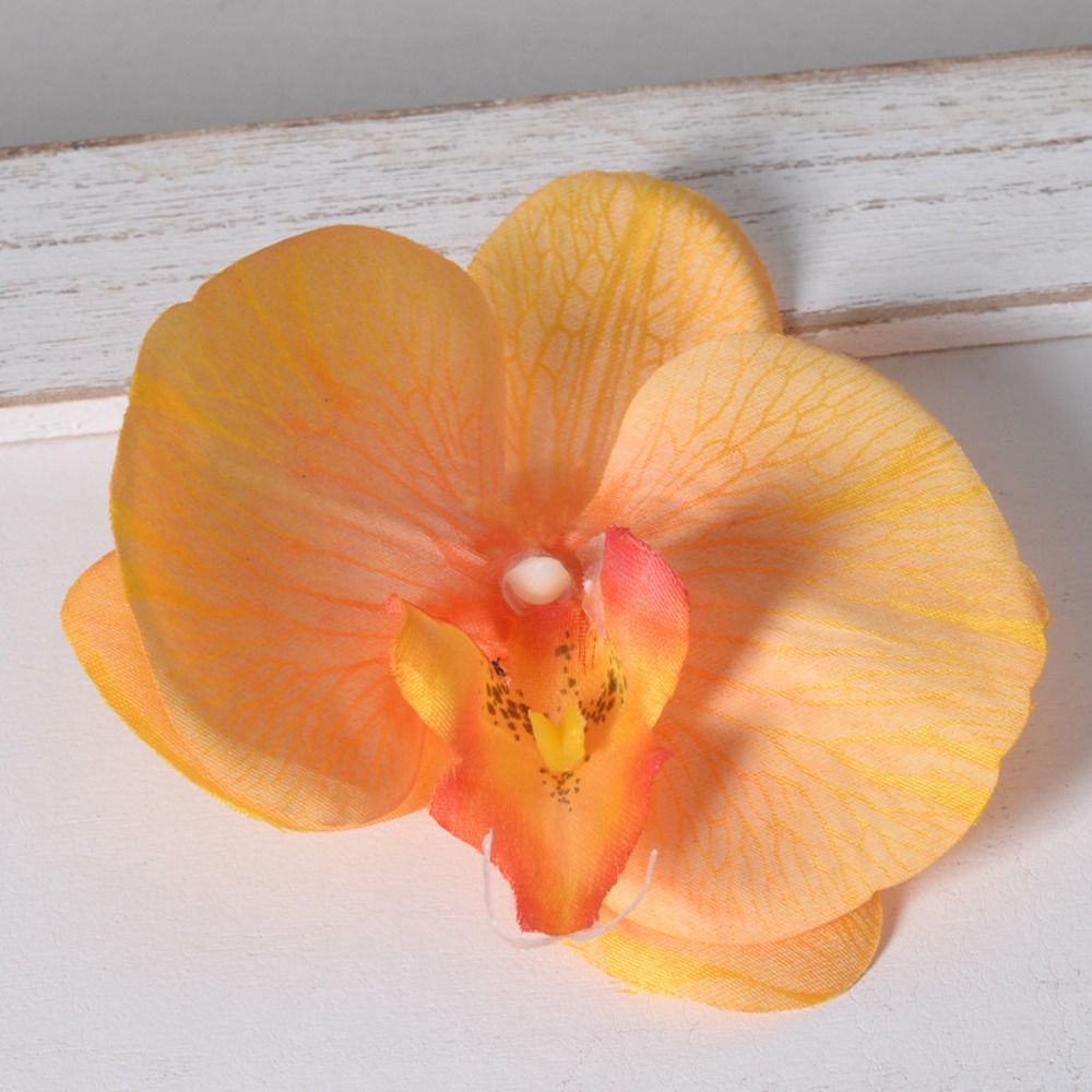 Testa di Fiore di Phalaenopsis - Orchid Phalaenopsis recensione e prezzo