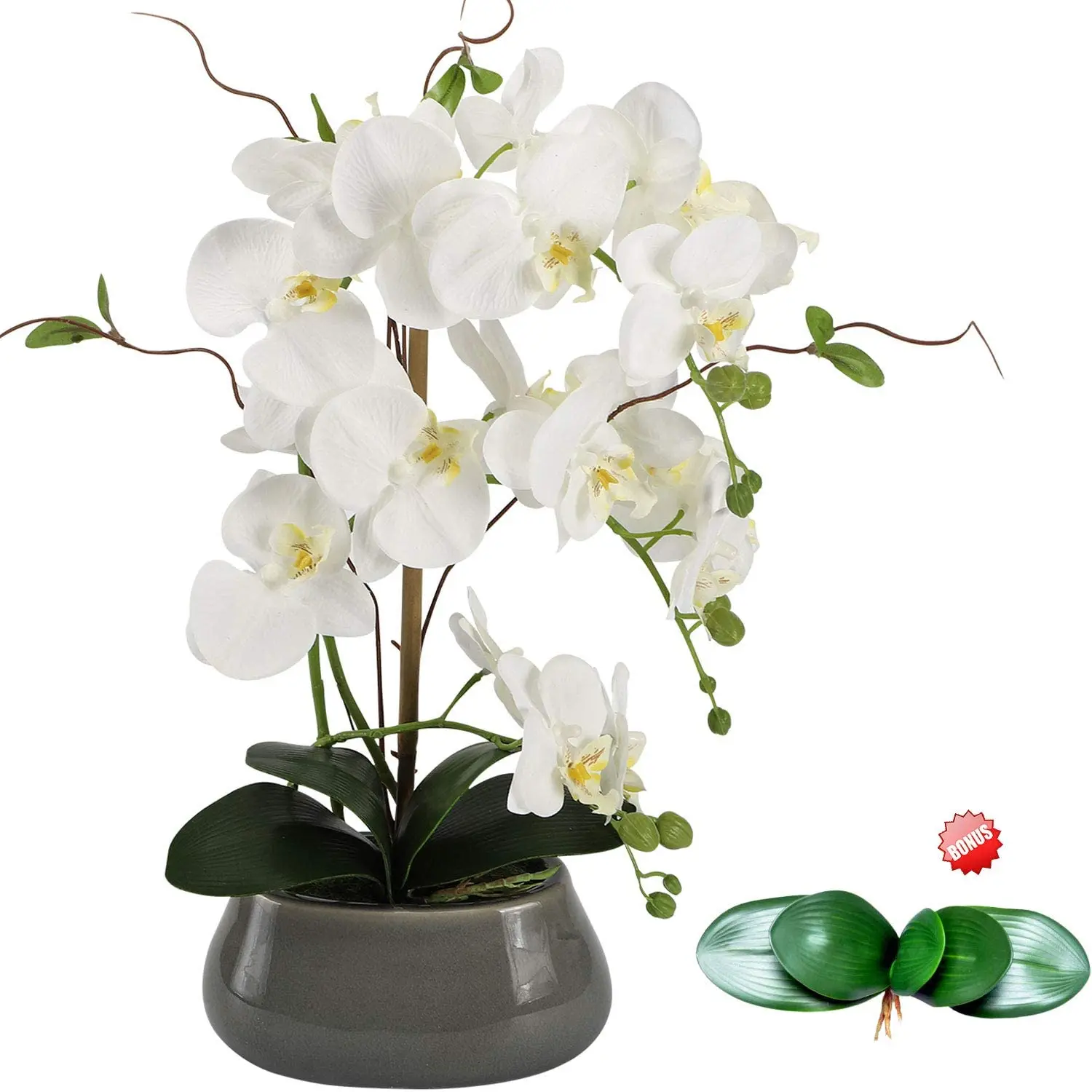 Centrotavola di fiori di orchi - Orchid Phalaenopsis recensione e prezzo
