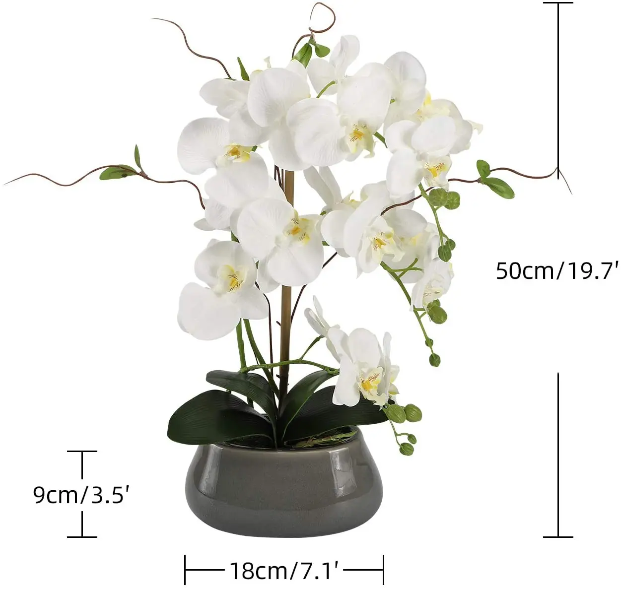 Centrotavola di fiori di orchi - Orchid Phalaenopsis recensione e prezzo