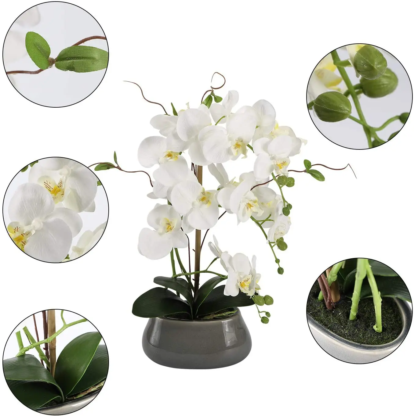 Centrotavola di fiori di orchi - Orchid Phalaenopsis recensione e prezzo