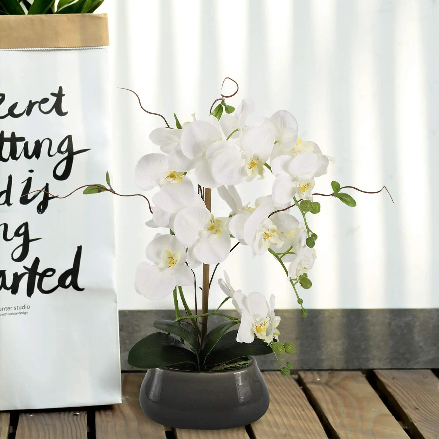 Centrotavola di fiori di orchi - Orchid Phalaenopsis recensione e prezzo