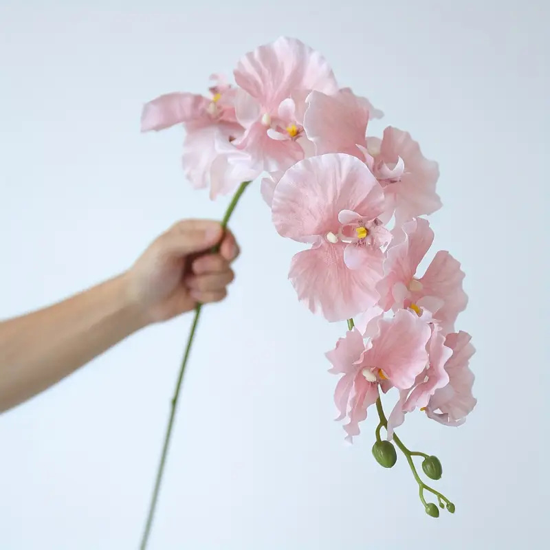 Ramo lungo Farfalla Orchidee F - Orchid Phalaenopsis recensione e prezzo