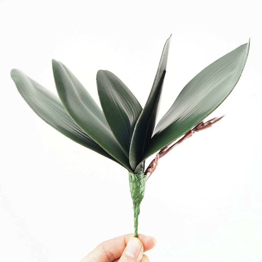 3 pz Eva Simulazione Phalaenop - Orchid Phalaenopsis recensione e prezzo