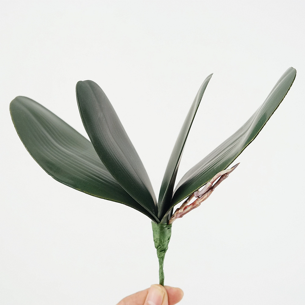 3 pz Eva Simulazione Phalaenop - Orchid Phalaenopsis recensione e prezzo