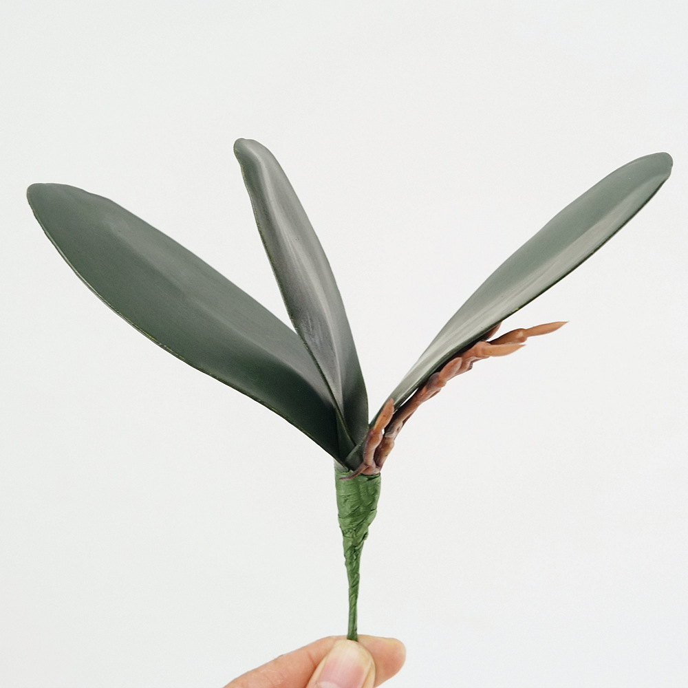3 pz Eva Simulazione Phalaenop - Orchid Phalaenopsis recensione e prezzo