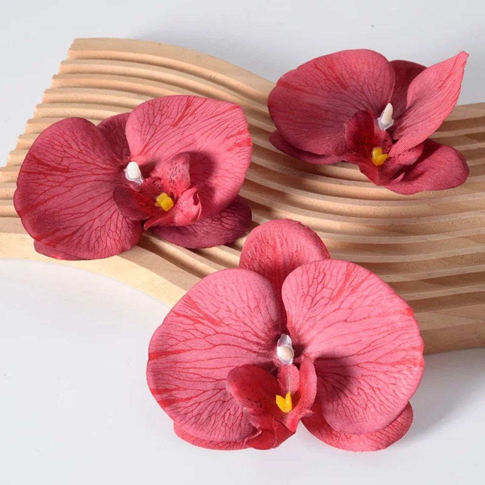 Testa di Fiore di Phalaenopsis - Orchid Phalaenopsis recensione e prezzo