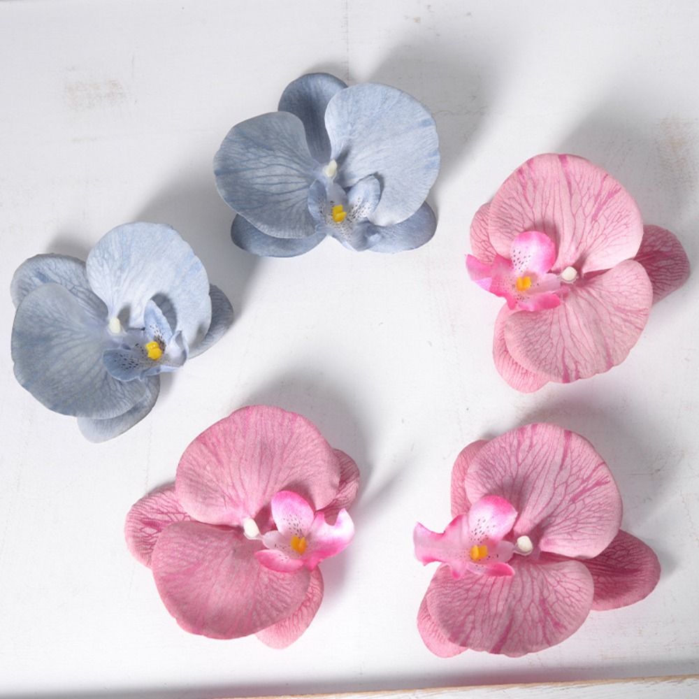Testa di Fiore di Phalaenopsis - Orchid Phalaenopsis recensione e prezzo