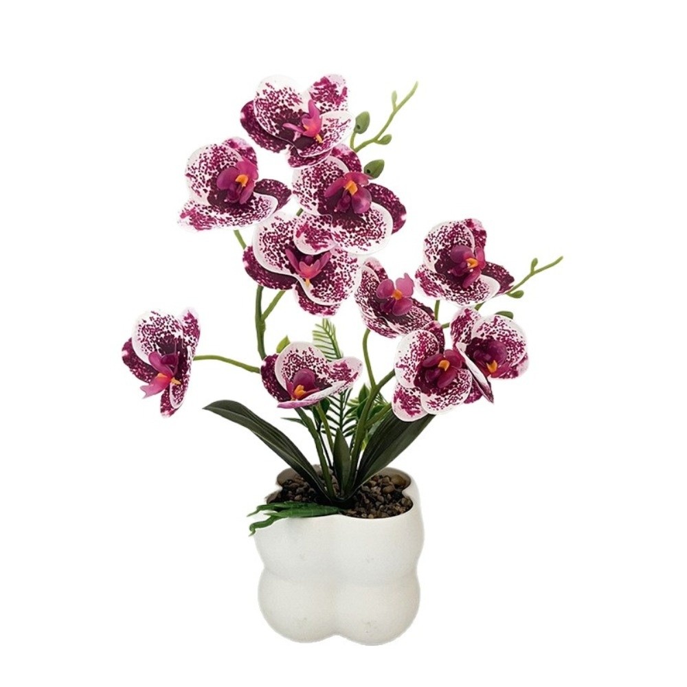 Orchidea a Farfalla Simulata M - Orchid Phalaenopsis recensione e prezzo