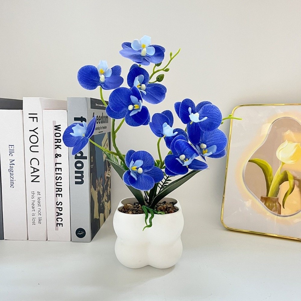 Orchidea a Farfalla Simulata M - Orchid Phalaenopsis recensione e prezzo