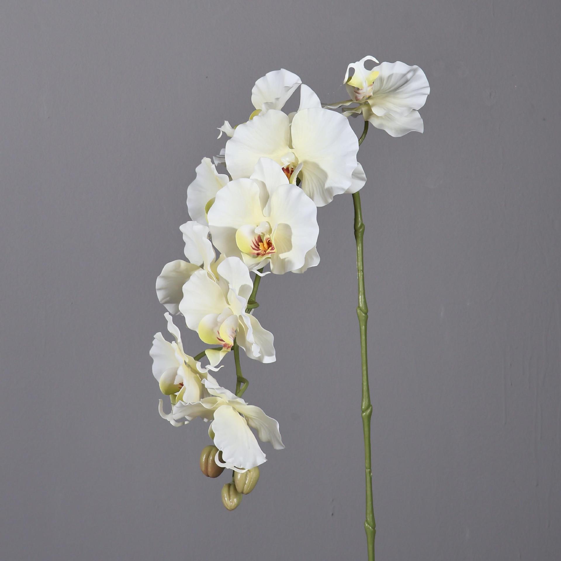 Phalaenopsis artificiale in st - Orchid Phalaenopsis recensione e prezzo
